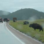 podcast-09-Location-de-Voiture-08