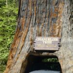 podcast-09-Location-de-Voiture-21