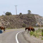 podcast-09-Location-de-Voiture-22