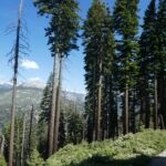 podcast-12-Galere-Yosemite-06