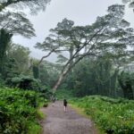 periple-hawaii-2024-002