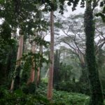 periple-hawaii-2024-003