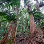 periple-hawaii-2024-004