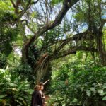 periple-hawaii-2024-014