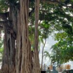 periple-hawaii-2024-019