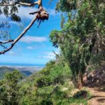 periple-hawaii-2024-026