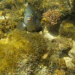 periple-hawaii-2024-035