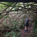 periple-hawaii-2024-046