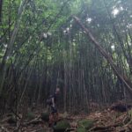 periple-hawaii-2024-047