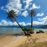 periple-hawaii-2024-062