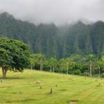 periple-hawaii-2024-063