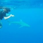 periple-hawaii-2024-075