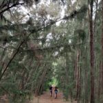 periple-hawaii-2024-078