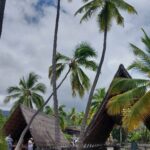 periple-hawaii-2024-086