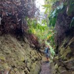 periple-hawaii-2024-094