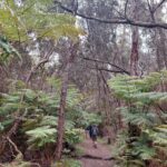 periple-hawaii-2024-095