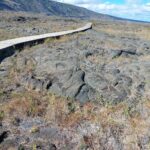 periple-hawaii-2024-104