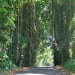 periple-hawaii-2024-108