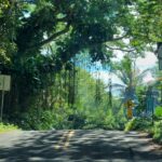 periple-hawaii-2024-109