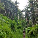 periple-hawaii-2024-116