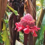 periple-hawaii-2024-117