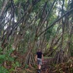 periple-hawaii-2024-118