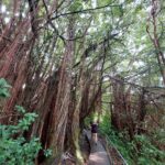 periple-hawaii-2024-122