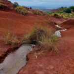 periple-hawaii-2024-135