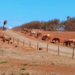 periple-hawaii-2024-136