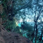 periple-hawaii-2024-149