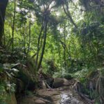 periple-hawaii-2024-157