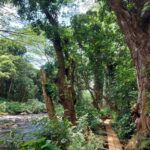 periple-hawaii-2024-163