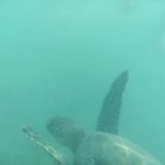 periple-hawaii-2024-173