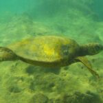 periple-hawaii-2024-174