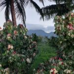 periple-hawaii-2024-182