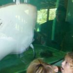 podcast-20-enfants-68