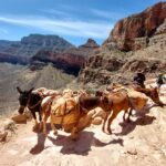 podcast-23-grandcanyon-21