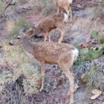 podcast-23-grandcanyon-36