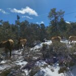 podcast-23-grandcanyon-50