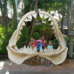 SANYO DIGITAL CAMERA