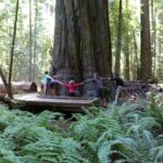 podcast-27-prequel-origine-139