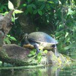 podcast-floride-saison-08