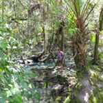 podcast-floride-saison-32