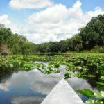 podcast-floride-saison-51