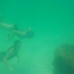 podcast-floride-saison-54