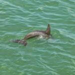 podcast-floride-saison-57