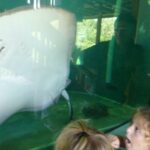 podcast-floride-saison-63