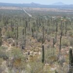 podcast-31-Western-12