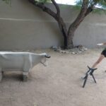 podcast-31-Western-14