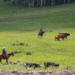 podcast-31-Western-16